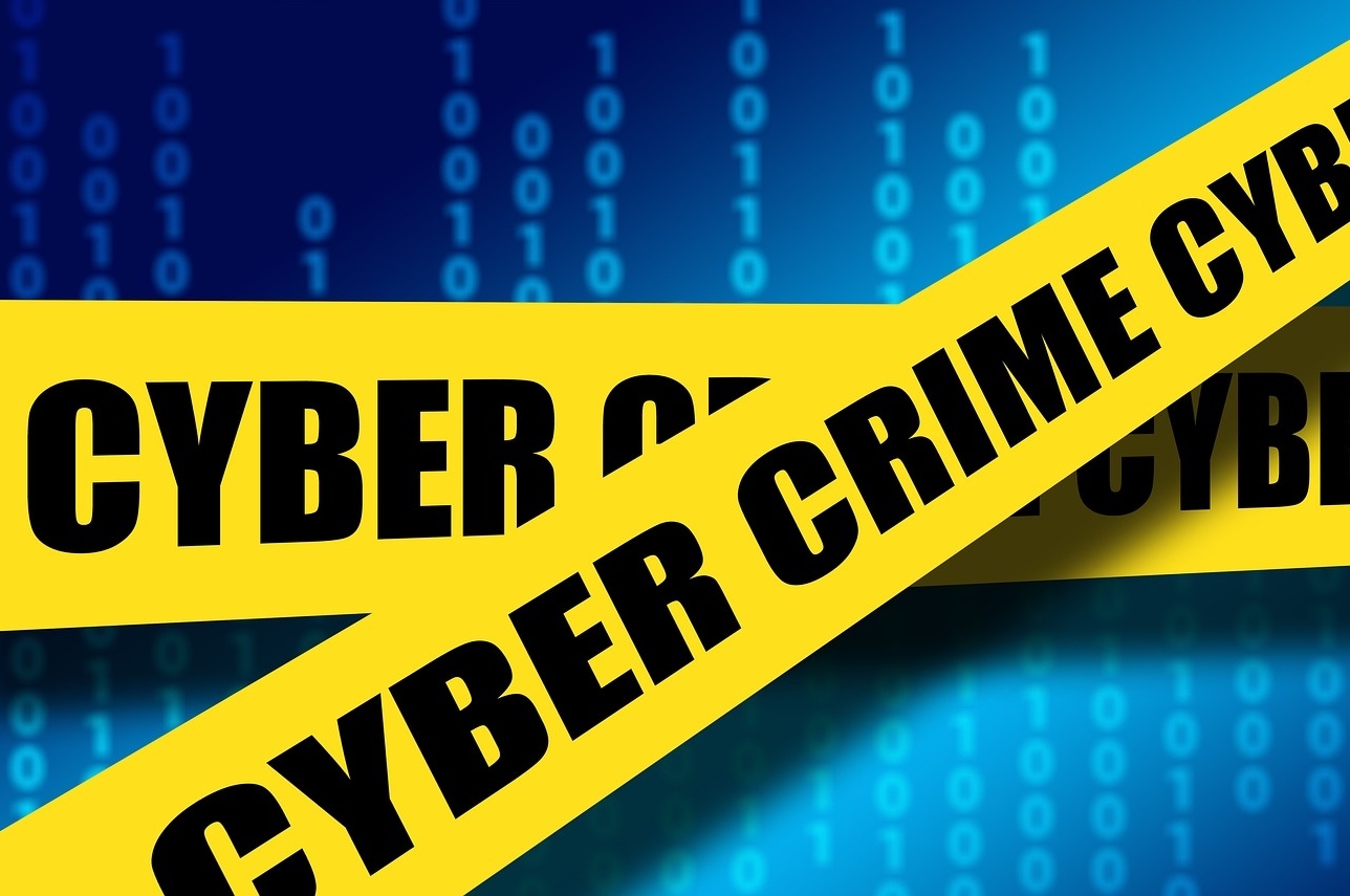 cyber security criminals