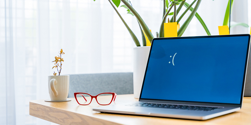 Sad laptop monitor with blue screen error on home office desk with decorative plants, red glasses