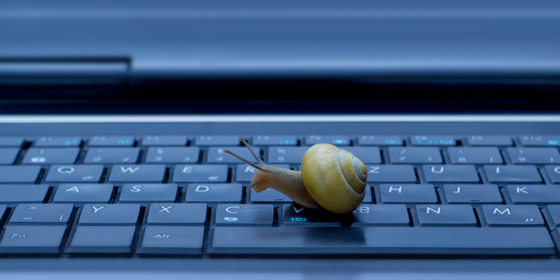 snail on keyboard illustrating slow systems as a critical component of IT productivity
